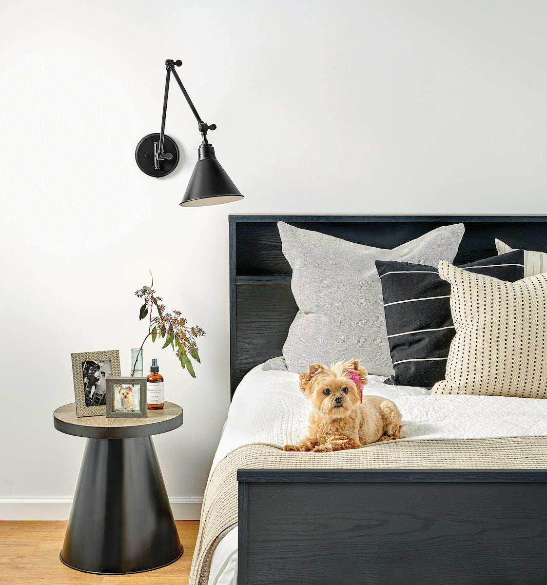 Black Arti wall sconce by Hinkley for reading by headboard in bedroom. Small dog and decorative throw pillows on bed.