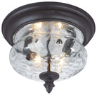 Product photo of the Ardmore Two Light Flush Mount in Black ( SKU# 9909-1-66 )