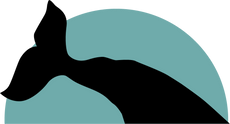 Black Whale Home logo