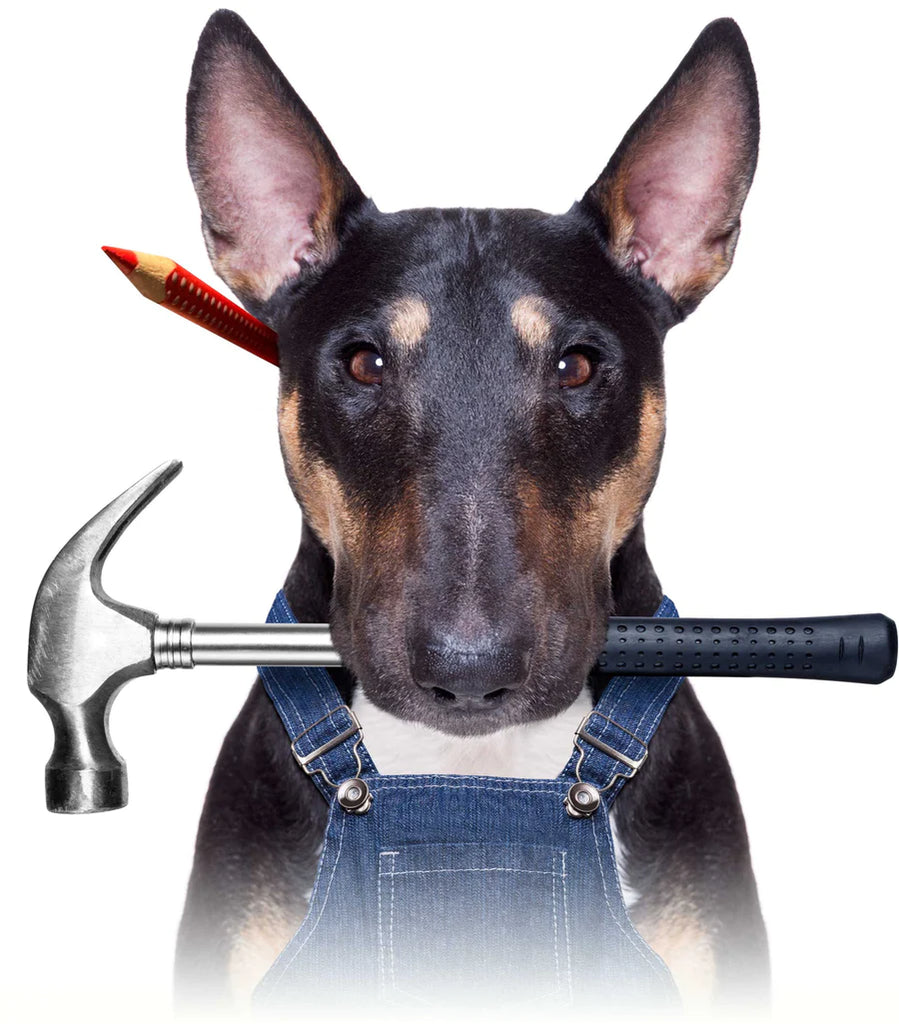 a dog named link who is holding a hammer