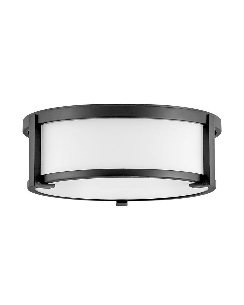 Buy the Lowell LED Foyer Pendant in Black by Hinkley ( SKU# 3241BK )