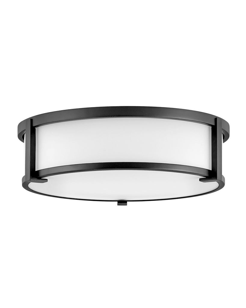 Buy the Lowell LED Foyer Pendant in Black by Hinkley ( SKU# 3243BK )