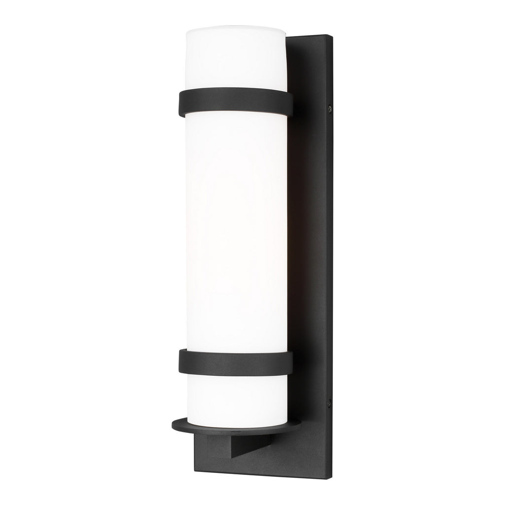 Buy the Alban One Light Outdoor Wall Lantern in Black by Generation Lighting. ( SKU# 8618301-12 )