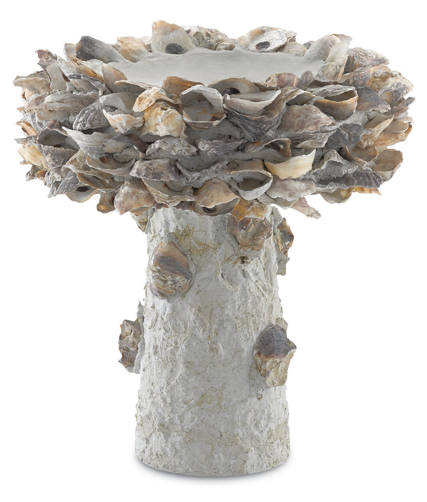 Buy the Oyster Shell Bird Bath in Natural by Currey and Company ( SKU# 1200-0052 )